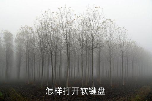 怎樣打開(kāi)軟鍵盤(pán)