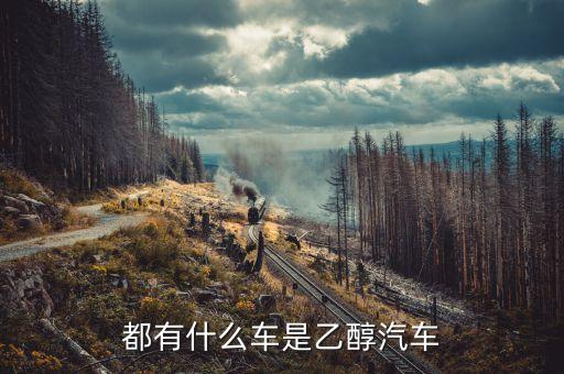 ice汽車，奧斯特汽車公司