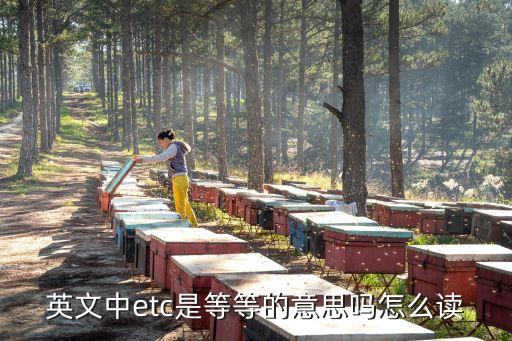英文中etc是等等的意思嗎怎么讀