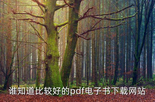誰知道比較好的pdf電子書下載網(wǎng)站