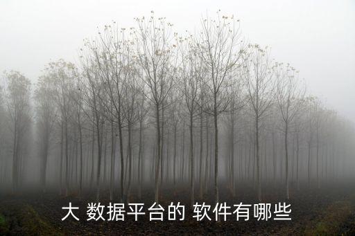 大數(shù)據(jù)用什么軟件下載,修改app數(shù)據(jù)軟件下載