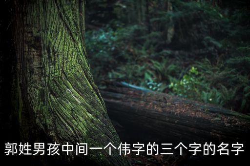 郭姓男孩中間一個(gè)偉字的三個(gè)字的名字