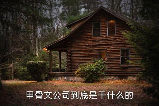 甲骨文公司到底是干什么的