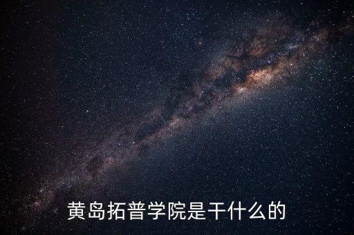 拓普，TUOPU是什么牌子的電腦