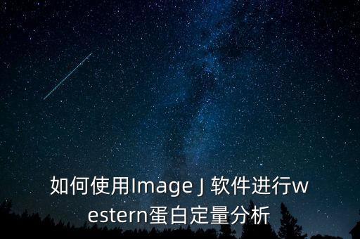 imagej軟件，如何使用Image J 軟件進(jìn)行western蛋白定量分析