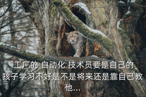  工廠的 自動(dòng)化 技術(shù)員要是自己的孩子學(xué)習(xí)不好是不是將來(lái)還是靠自己教他...