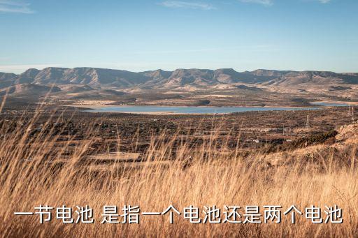 一節(jié)電池 是指一個電池還是兩個電池