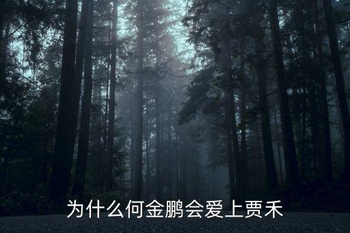 為什么何金鵬會愛上賈禾