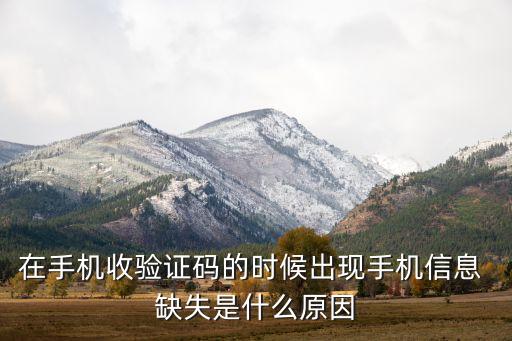 運營商認證數據缺失