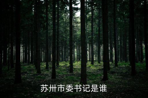蔣宏坤，南京市長叫咩名