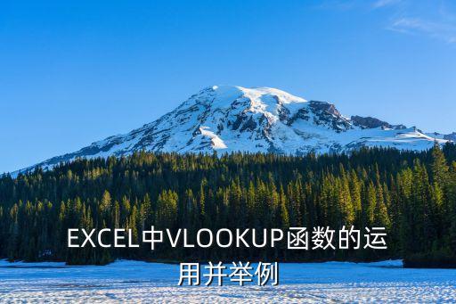 EXCEL中VLOOKUP函數(shù)的運(yùn)用并舉例