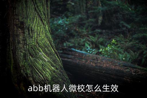 abb機(jī)器人微校怎么生效