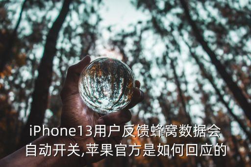 蘋果自動關閉蜂窩數據,蜂窩數據為何自動關閉?