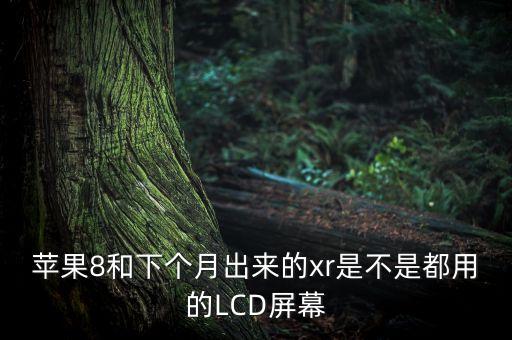 蘋果8和下個月出來的xr是不是都用的LCD屏幕