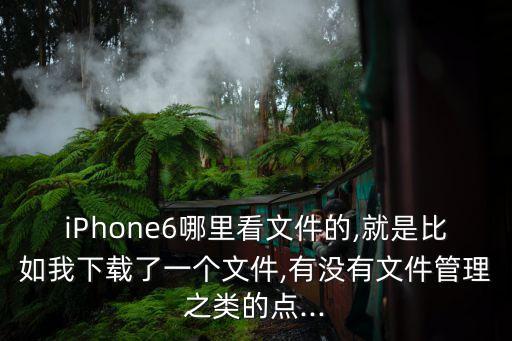 iPhone6哪里看文件的,就是比如我下載了一個文件,有沒有文件管理之類的點...