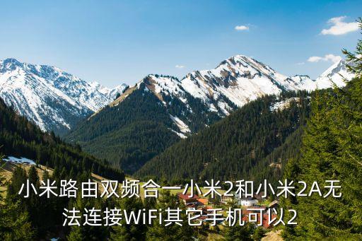 雙頻合一，小米路由器mini雙頻合一有什么用