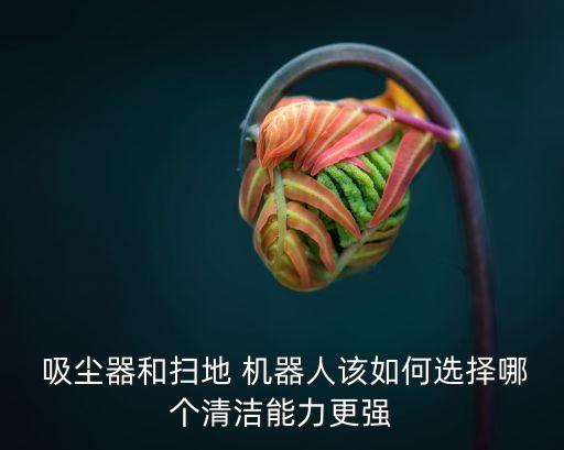  吸塵器和掃地 機器人該如何選擇哪個清潔能力更強