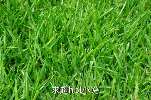 超h，h超門脈的正常值是多少