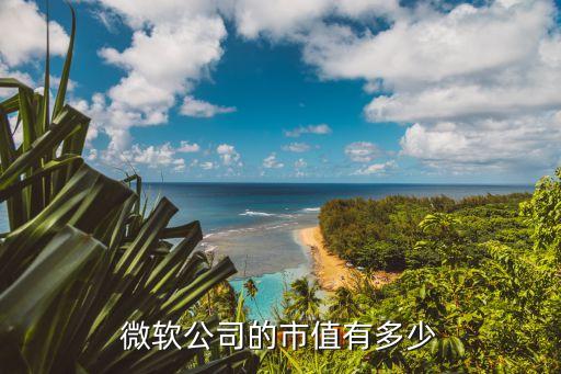 微軟公司的市值有多少