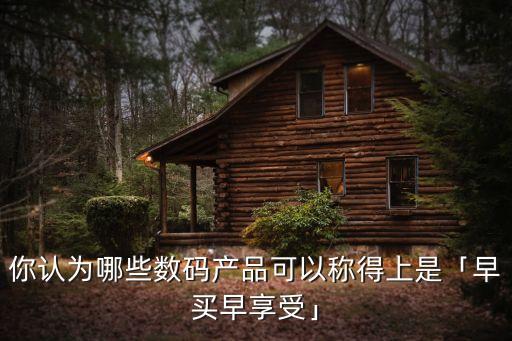 你認為哪些數(shù)碼產(chǎn)品可以稱得上是「早買早享受」