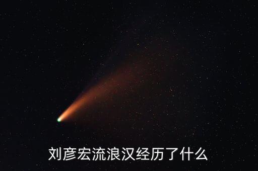 劉彥宏流浪漢經歷了什么