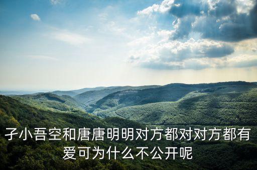 孑小吾空和唐唐明明對方都對對方都有愛可為什么不公開呢