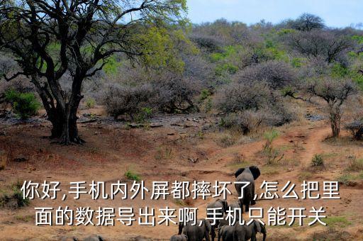 手機(jī)標(biāo)磚怎么提取數(shù)據(jù),刷機(jī)包如何提取數(shù)據(jù)?