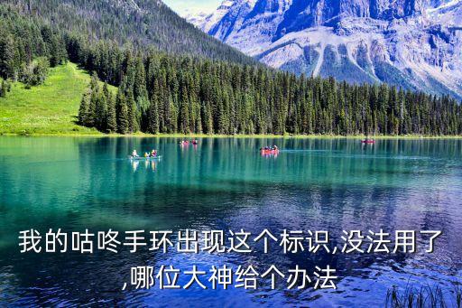 我的咕咚手環(huán)出現(xiàn)這個(gè)標(biāo)識(shí),沒(méi)法用了,哪位大神給個(gè)辦法