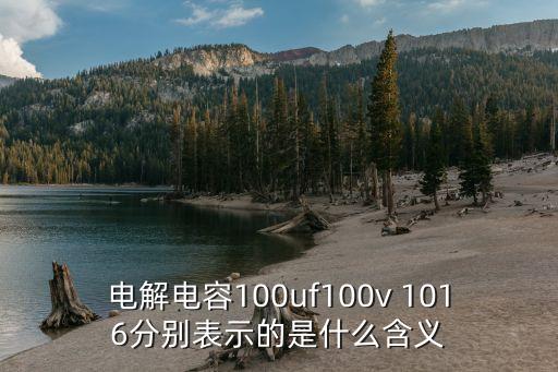 電解電容100uf100v 1016分別表示的是什么含義