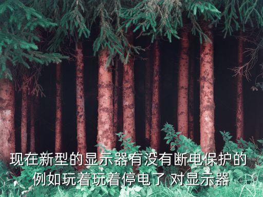 現(xiàn)在新型的顯示器有沒(méi)有斷電保護(hù)的 例如玩著玩著停電了 對(duì)顯示器