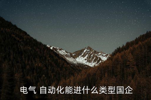 電氣自動(dòng)化推薦軟件公司