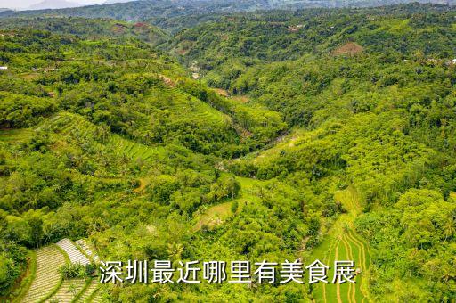 深圳最近哪里有美食展