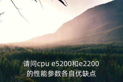 請(qǐng)問cpu e5200和e2200的性能參數(shù)各自優(yōu)缺點(diǎn)