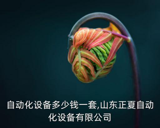 山東自動(dòng)化設(shè)備多少錢一套,山東正夏自動(dòng)化設(shè)備有限公司