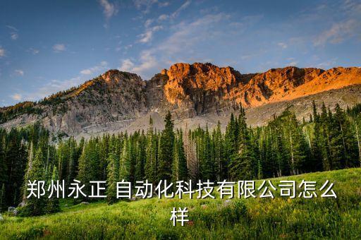  鄭州永正 自動化科技有限公司怎么樣
