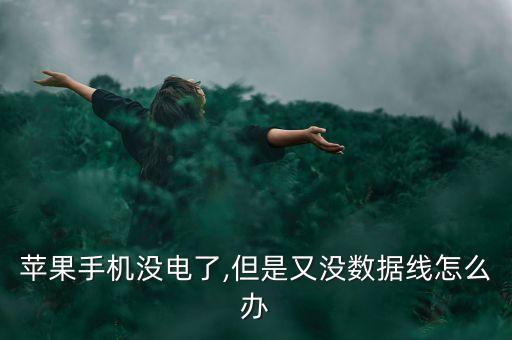 蘋果手機沒電了,但是又沒數(shù)據(jù)線怎么辦