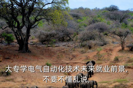 ?？齐姎庾詣踊娔X,大專學電氣自動化專業(yè)好就業(yè)嗎?