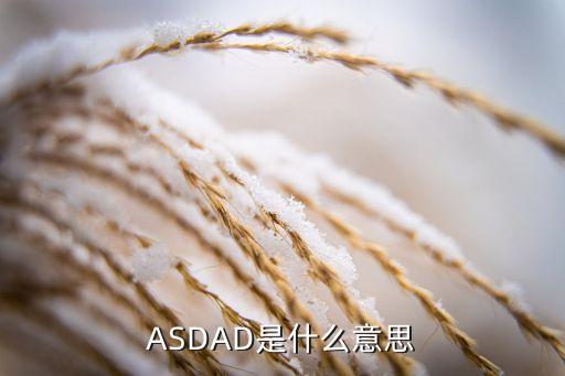 asdad，asdad什么意思