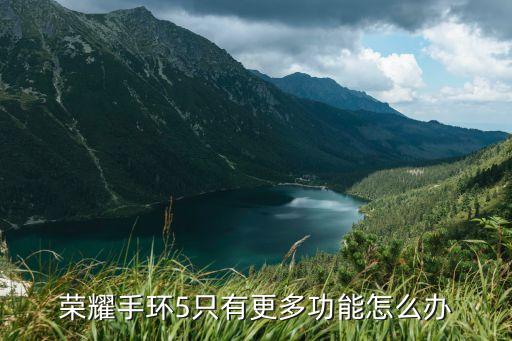 榮耀手環(huán)5只有更多功能怎么辦