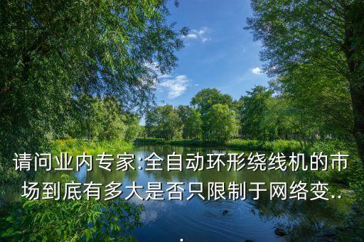 請問業(yè)內(nèi)專家:全自動環(huán)形繞線機的市場到底有多大是否只限制于網(wǎng)絡變...