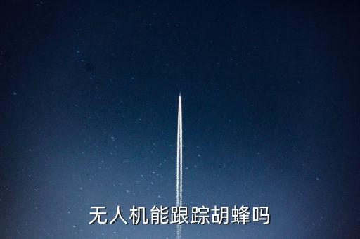 無(wú)人機(jī)能跟蹤胡蜂嗎