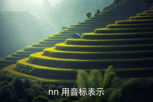 nn 用音標(biāo)表示