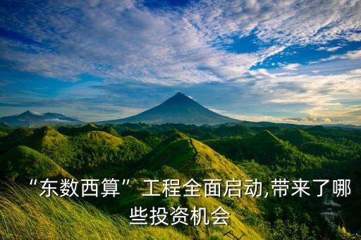 大數(shù)據(jù)公司投資,國內(nèi)做大數(shù)據(jù)的公司有哪些?