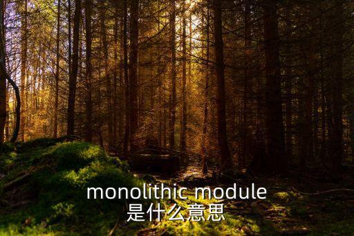 monolithic module是什么意思