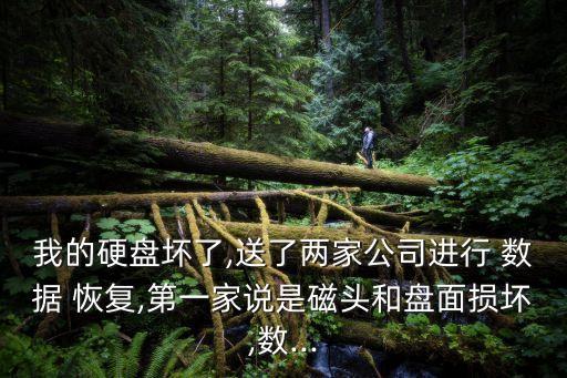 數(shù)據(jù)恢復(fù) 希捷 美國(guó),石家莊希捷硬盤(pán)售后數(shù)據(jù)恢復(fù)