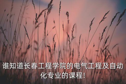誰(shuí)知道長(zhǎng)春工程學(xué)院的電氣工程及自動(dòng)化專業(yè)的課程!