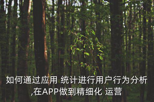 如何通過應(yīng)用 統(tǒng)計進行用戶行為分析,在APP做到精細化 運營