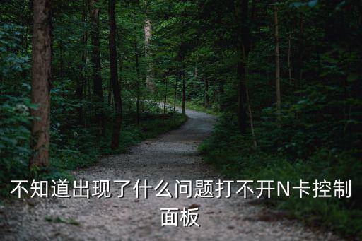 nvidia控制面板打不開，電腦上NVIDIA控制面板沒了是怎么回事