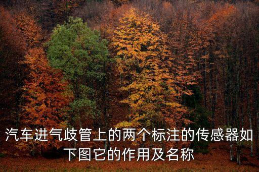 汽車進氣歧管上的兩個標注的傳感器如下圖它的作用及名稱