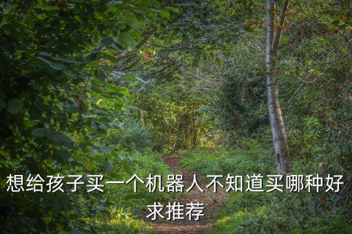 想給孩子買一個(gè)機(jī)器人不知道買哪種好求推薦